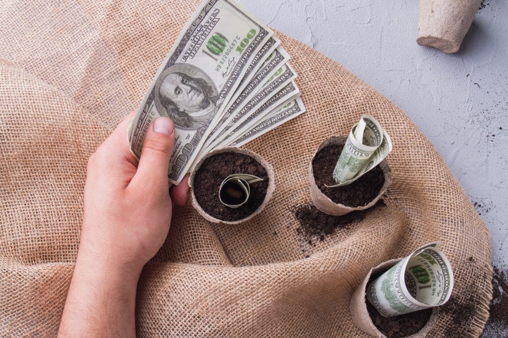 Image of someone planting money in soil representing investments
